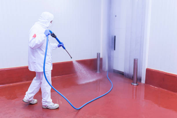 Best Pool Deck Cleaning  in Chickamau, GA